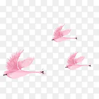 粉色手绘天鹅装饰图案