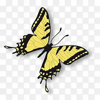 黄色的蝴蝶昆虫设计