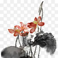 水墨中国风装饰荷花插画