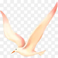 高清创意手绘风格飞翔的海鸥翅膀