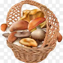 篮子装满蘑菇