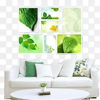 绿色叶子照片墙