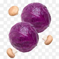 紫包菜蘑菇实物素材