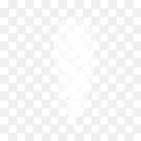 白色的羽毛