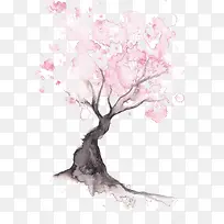 樱花树