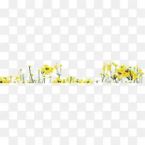 春天风景黄色花海装饰