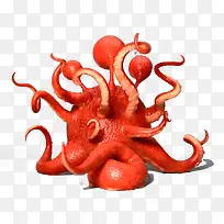 红色的章鱼图案