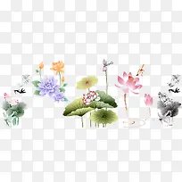 荷花 莲花 佛 禅