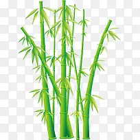 栩栩如生的竹子绿色素材图片