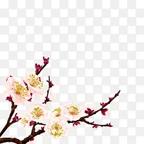 杏花花枝