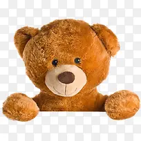 棕色泰迪熊