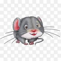 灰色小鼠