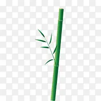 一根竹子竹叶