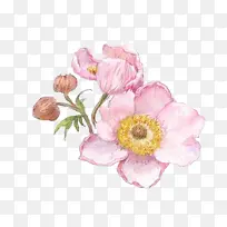 手绘鲜花