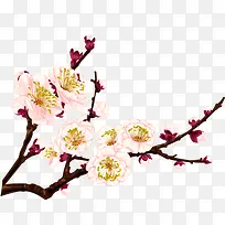 粉色花朵梅花造型