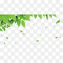 创意海报绿色植物树叶效果