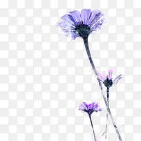 手绘水彩紫色太阳花