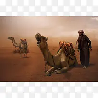 沙漠上的骆驼商队海报背景