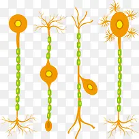 彩色生物神经细胞矢量图