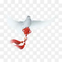 鸽子送福新年喜庆图片
