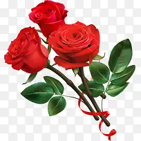 红色美丽玫瑰花枝