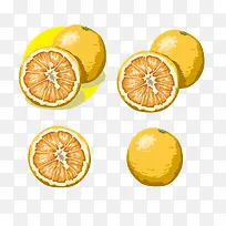 柑橘手绘步骤图