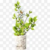 大理石花瓶绿叶白花