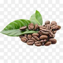 咖啡豆元素