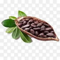 壳里装着的咖啡豆