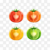 番茄的成熟过程