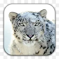 雪豹iPhoneStyle-Icons