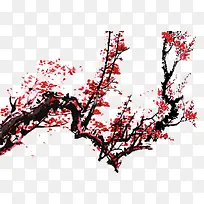 枝头腊梅红色冬季