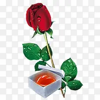 红色玫瑰水晶爱心