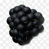 黑莓水果说明