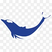 蓝色扁平游动海豚