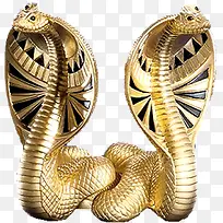 埃及金色眼镜蛇
