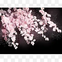 夜空下的粉色樱花海报背景