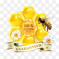 蜜蜂与蜂蜜