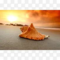 沙滩贝壳太阳西下黄昏美景