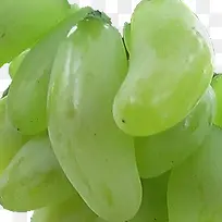金手指青皮葡萄