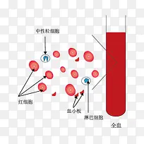 血液组成示意图