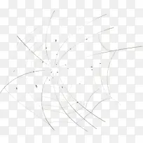 素描蜘蛛网图片素材