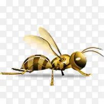黄蜂的蚂蚁flower-icons