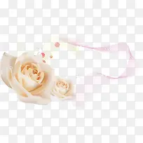 白色玫瑰花海素材