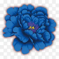 花，花朵，蓝色花，淘宝素材