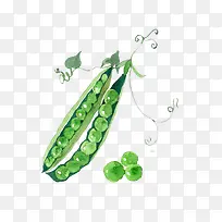 小清新简约手绘水彩绿色豌豆