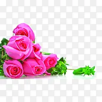 粉色堆放玫瑰花元素