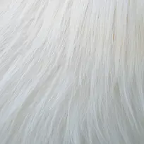 白色动物皮毛