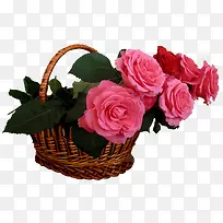 花篮和粉色玫瑰