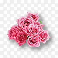 一束粉红色玫瑰花